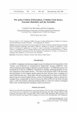The Genus Codium (Chlorophyta, Codiales) from Kenya, Tanzania (Zanzibar) and the Seychelles