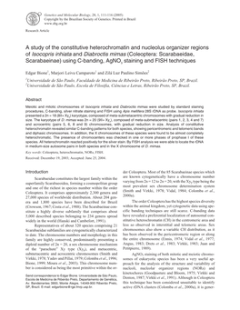 A Study of the Constitutive Heterochromatin and Nucleolus Organizer Regions of Isocopris Inhiata and Diabroctis Mimas (Coleoptera: Scarabaeidae