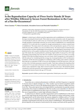 Is the Reproduction Capacity of Pinus Brutia Stands 20 Years After Wildfire