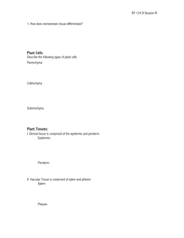 BY 124 SI Session III 1. How Does Meristematic Tissue Differentiate?