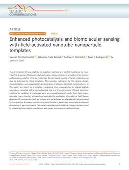 Enhanced Photocatalysis and Biomolecular Sensing with Field-Activated Nanotube-Nanoparticle Templates