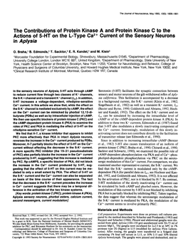 The Contributions of Protein Kinase a and Protein Kinase C to the Actions of 5-HT on the L-Type Ca *+ Current of the Sensory Neurons in Aplysia