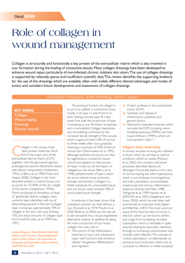 Role of Collagen in Wound Management