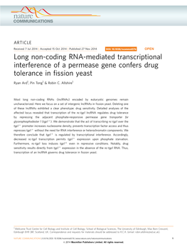 Long Non-Coding RNA-Mediated Transcriptional Interference of a Permease Gene Confers Drug Tolerance in ﬁssion Yeast