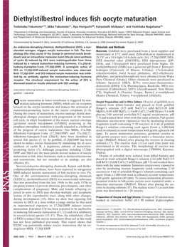 Diethylstilbestrol Induces Fish Oocyte Maturation