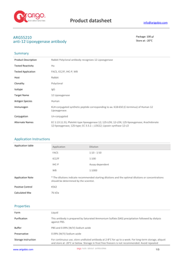 Anti-12 Lipoxygenase Antibody (ARG55210)