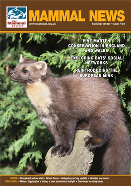 Pine Marten Conservation in England and Wales Exploring Batsl Social