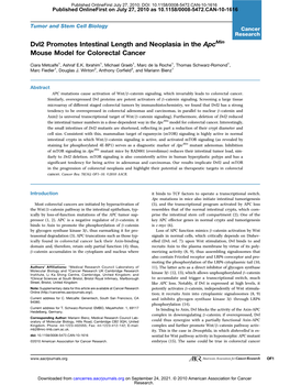 Dvl2 Promotes Intestinal Length and Neoplasia in the Apcmin Mouse Model for Colorectal Cancer