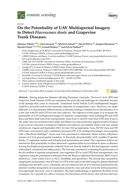 On the Potentiality of UAV Multispectral Imagery to Detect Flavescence Dorée and Grapevine Trunk Diseases