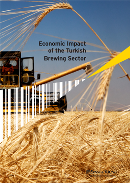 Economic Impact of the Turkish Brewing Sector