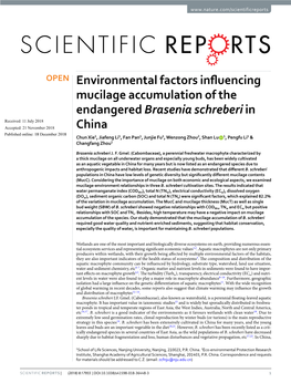 Environmental Factors Influencing Mucilage Accumulation of The