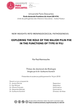 EXPLORING the ROLE of the MAJOR PILIN Pile in the FUNCTIONS of TYPE IV PILI