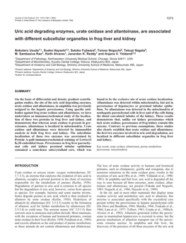 Uric Acid Degrading Enzymes, Urate Oxidase and Allantoinase, Are Associated with Different Subcellular Organelles in Frog Liver and Kidney