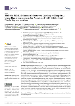 Biallelic SYNE2 Missense Mutations Leading to Nesprin-2 Giant Hypo-Expression Are Associated with Intellectual Disability and Autism