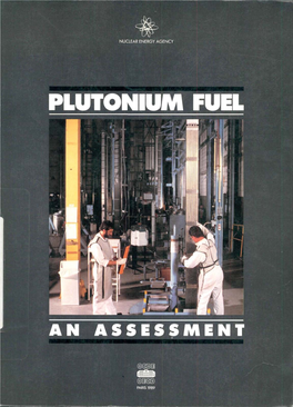 Plutonium Fuel in Thermal Reactors; And