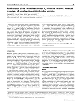 Palmitoylation of the Recombinant Human A1 Adenosine Receptor