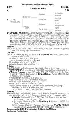 Chestnut Filly Barn 2 Hip No