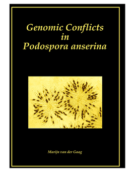 Genomic Conflicts in Podospora Anserina = Genomische Conflicten in Podospora Anserina