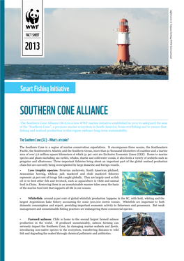 SFI Fact Sheet Southern Cone Alliance Update March13