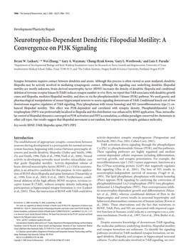 Neurotrophin-Dependent Dendritic Filopodial Motility: a Convergence on PI3K Signaling