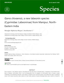 Garra Chivaensis, a New Labeonin Species (Cyprinidae: Labeoninae) from Manipur, North- Eastern India