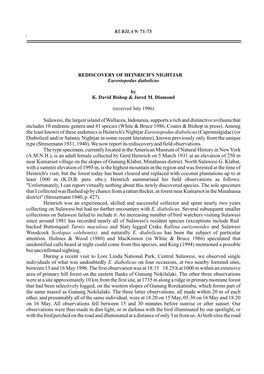 71-73 Rediscovery of Heinrich's Nightjar