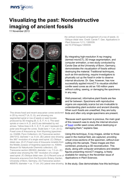 Nondestructive Imaging of Ancient Fossils 11 November 2013