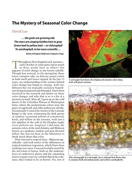 The Mystery of Seasonal Color Change