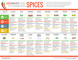 SPICE-INFOGRAPHIC.Pdf