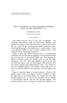 THE VARIATIONS of the INFERIOR THYROID VEIN of the DOMESTIC Clit