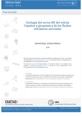 Geología Del Sector NE Del Volcán Copahue Y Geoquímica De Los Fluídos Volcánicos Asociados