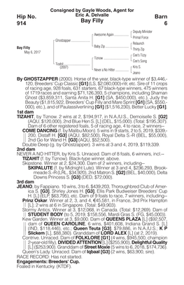 Bay Filly Barn 6 Hip No