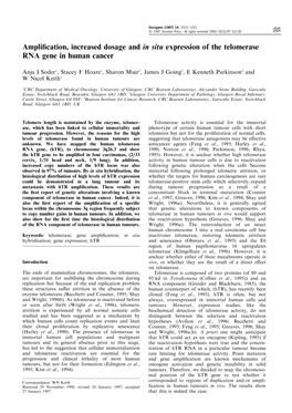 Amplification, Increased Dosage and in Situ Expression of the Telomerase