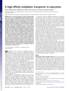 A High-Affinity Molybdate Transporter in Eukaryotes