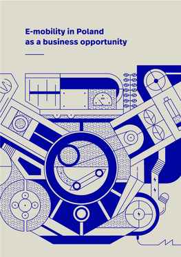 E-Mobility in Poland As a Business Opportunity Authors