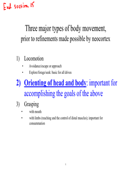 Descending Pathways and Evolution Notes