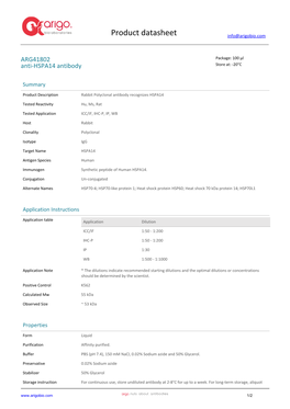 Anti-HSPA14 Antibody (ARG41802)