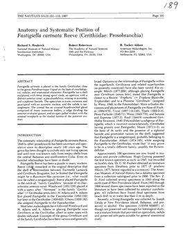 Cerithiidae: Prosobranchia)