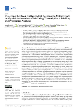 Dissecting the Reca-(In)Dependent Response to Mitomycin C in Mycobacterium Tuberculosis Using Transcriptional Proﬁling and Proteomics Analyses