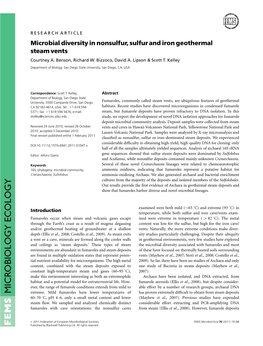 Microbial Diversity in Nonsulfur, Sulfur and Iron Geothermal Steam Vents