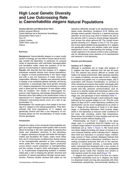 High Local Genetic Diversity and Low Outcrossing Rate in Caenorhabditis Elegans Natural Populations