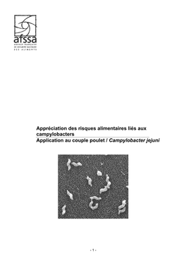 Appréciation Des Risques Alimentaires Liés Aux Campylobacters Application Au Couple Poulet / Campylobacter Jejuni