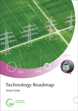 Technology Roadmaps Smart Grids List of Figures 1