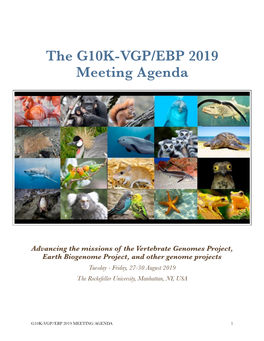 The G10K-VGP/EBP 2019 Meeting Agenda