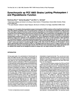 Synechocystis Sp PCC 6803 and Phycobilisome Function Strains