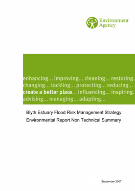 Blyth Estuary Flood Risk Management Strategy: Environmental Report Non Technical Summary