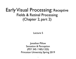 Early Visual Processing: Receptive Fields & Retinal Processing (Chapter 2, Part 2)