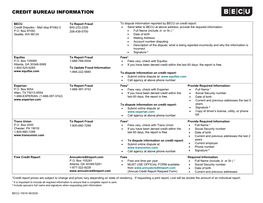 Credit Bureau Information