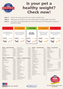 Weigh Your Pet and Check His Actual Weight Against the Ideal Weight of His Breed