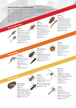 Macroinvertebrate Sensitivity